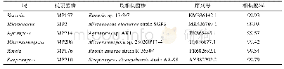 表2 放线菌门代表菌株及其16S rRNA序列相似性