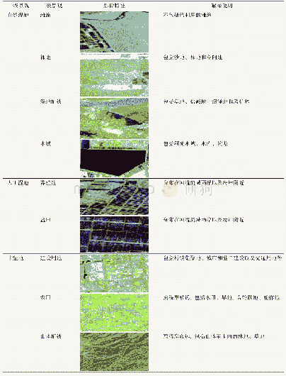 表1 莱州湾景观类型及其解译标志