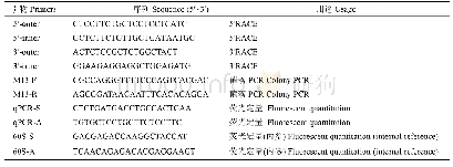 表1 SnHsp90基因克隆及荧光定量的引物序列
