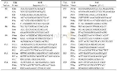 表2 荧光定量PCR引物设计(特异性引物)