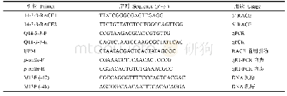 表1 本研究中所用引物序列