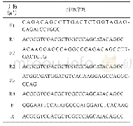 表1 PCR引物序列：葡萄糖激酶的异源表达及葡萄糖激酶激动剂筛选体系的建立