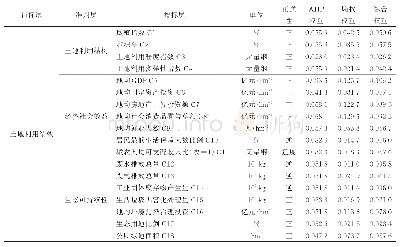 《表2 土地利用绩效评价指标体系及指标权重》