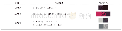 表6 苗族服饰色彩规则部分结果