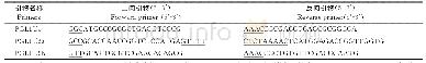 表2 OsPGL1双靶点CRISPR/Cas9载体构建的引物