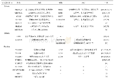 表1 动物和植物中m6A相关蛋白的功能