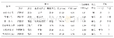 表4 各试验品种块茎农艺性状比较