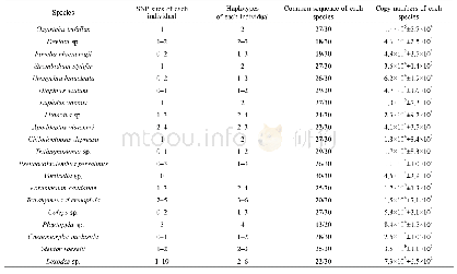 《Table 1 SSU rDNA polymorphisms and rDNA copy numbers of the 20 species》