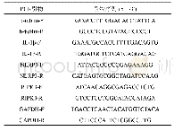 表2 目的基因的引物序列