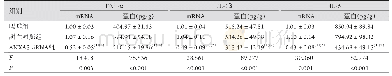 表2 各组大鼠脊髓组织TNF-α、IL-1β和IL-6的mRNA相对表达水平及蛋白浓度比较(n=10)