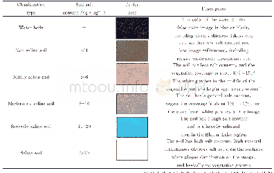 表3 研究区遥感影像分类方案