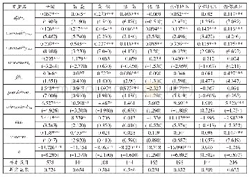 表4 式（1）回归结果：中国金融结构与产业结构的时空演变特征及区制关联分析