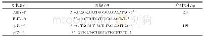 表3 荧光定量RT-PCR检测引物序列（5’-3’)