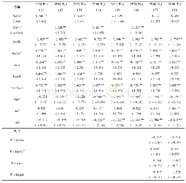 表5 空间计量模型回归结果