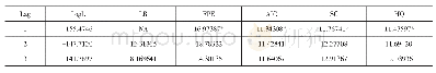 表3 确定最优滞后阶数信息准则表