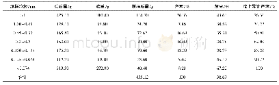 表2 CSS入料筛分试验[9]