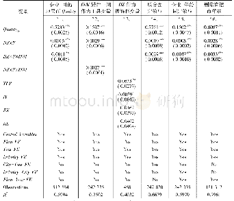 表4 内生性及稳健性检验估计结果