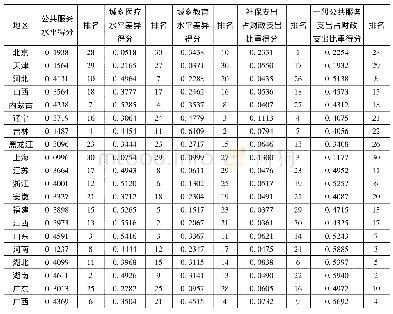 表2 1 公共服务水平及各指标得分和排名情况