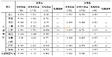 表2 28个首批试点省份农村集体资产效率数据统计结果