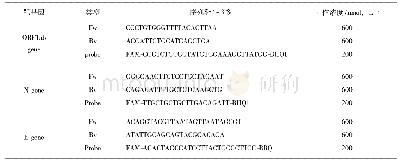 表1 数字PCR的引物和探针