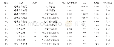 表6 结构方程模型拟合结果