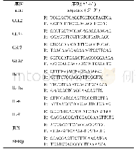 表1 PCR引物序列：肥胖小鼠脂肪组织中炎症因子的表达