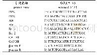 表1 用于Real-time PCR的引物