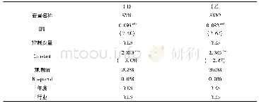 表1 0 双重聚类检验回归结果