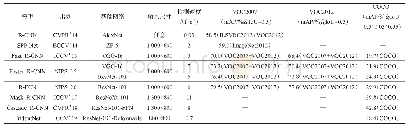 表3 基于候选区域的目标检测算法性能对比