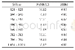 表6 不同分辨率下的PSNR和SSIM