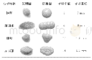 《表2 石子颗粒模型：回转筒内沙石物料混合均匀性的数值模拟》