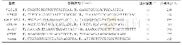 表1 荧光定量PCR引物信息Tab.1 Primers for quantitative RT-PCR