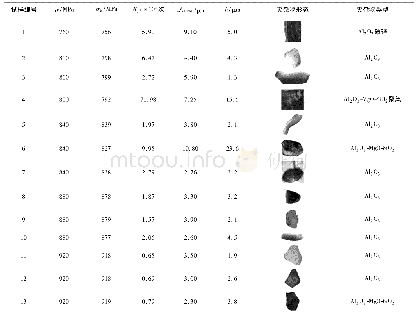 表3 试样疲劳裂纹萌生区的夹杂物形貌