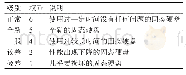 表1 固态硬盘权重设定表