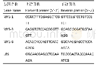 表1 荧光定量PCR引物序列