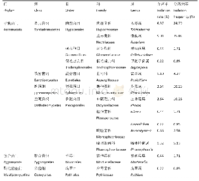 表1 量天尺根部内生真菌类群组成