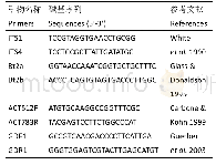 表2 基因扩增采用引物及序列