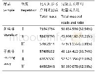 表2 Reads与参考序列比对情况