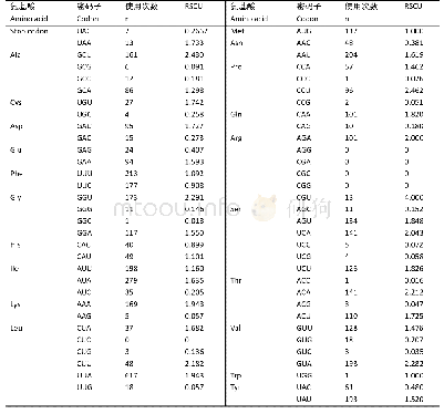 表3“金花菌”线粒体基因组编码蛋白质的基因密码子使用情况