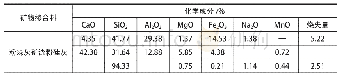 表4 几种矿物掺合料的化学成分分析