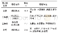 表1 1306运输巷顶底板岩性特征