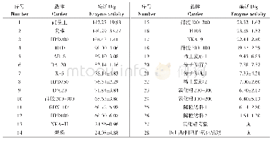 表3 不同载体的吸附固定化脂肪酶效果Tab.3 Effect of different carriers on the immobilization of lipase