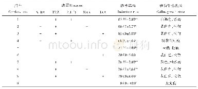 表2 不同激素组合对愈伤组织诱导影响