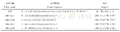 表1 滇水金凤CHI基因cDNA序列扩增引物