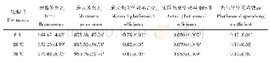表4 不同温度下锥栗幼苗叶片的叶绿素荧光参数