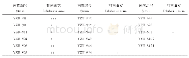 表2 西瓜枯萎病生防细菌的复筛