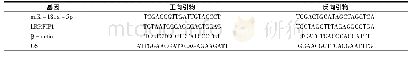 表1 引物序列：miR-181a-5p靶向LRRFIP1基因介导高糖诱导的肾小球系膜细胞凋亡及炎症反应