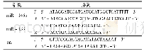 表1 miR-146a、miR-155及内参基因U6引物序列