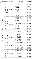 《表3 评价体系及指标权重值》