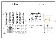 《表1 中美两版教材“用数对确定位置”情境比较》